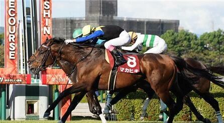 好きな京都大賞典の勝ち馬