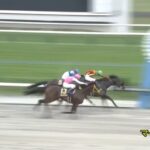 【マーキュリーカップ2024】結果・動画/クラウンプライドが粘り切る