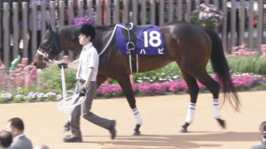 ハピさん「ヤマニンウルスが本物か俺が見極めてやるよ」