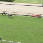 【競馬】新潟の芝が超高速馬場に 1Rでいきなりレコードを0.9更新 4Rではリスグラシューの子シュヴェルトリリエが競争中止