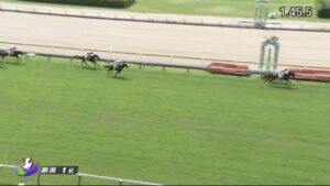 【競馬】新潟の芝が超高速馬場に 1Rでいきなりレコードを0.9更新 4Rではリスグラシューの子シュヴェルトリリエが競争中止