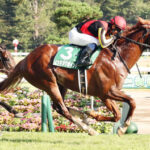 屈腱炎判明のノッキングポイント引退 今後は乗馬に