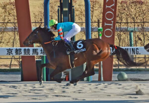 【プロキオンS】ヤマニンウルスの単勝にボーナス全ツッパする予定なんだが