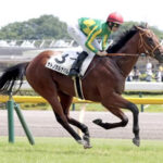 【函館2歳S】サトノカルナバル(3.4倍)vsエメラヴィ(6.6倍)