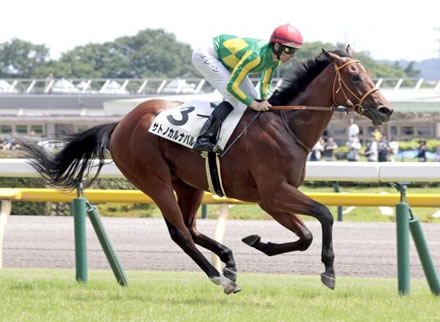 新馬戦圧勝のサトノカルナバル函館2歳ステークスへ