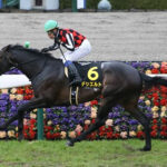 【競馬予想】[1]第29回プロキオンステークス(GⅢ) /2024