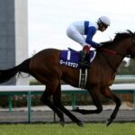 馬体がとんでもなかった馬と言えば?