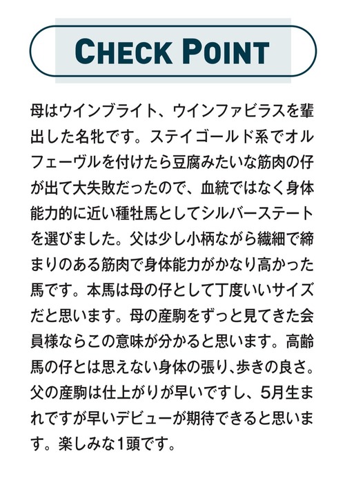 【悲報】ウインレーシング「オルフェーヴルを種付けしたのは大失敗だった」