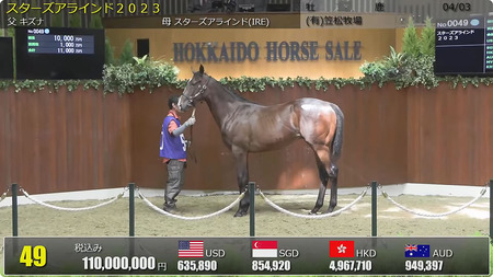 【セレクションセール2024】キズナ産駒1歳馬に1億円の落札