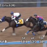 【七夕賞2024】追い切り/抜群の動きを見せたのは
