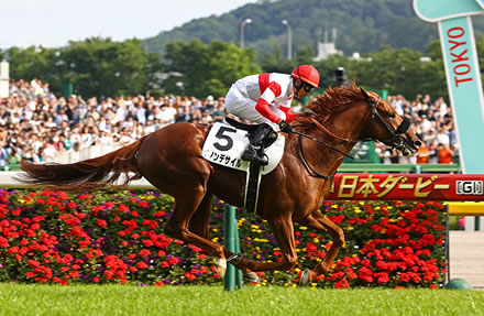 ダービー馬ダノンデサイルは菊花賞に直行