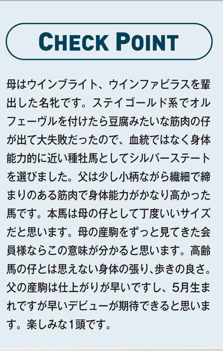 【悲報】ウインレーシング「オルフェーヴルを種付けしたのは大失敗だった」