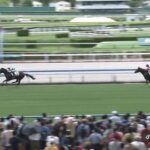 【競馬】3億4100万円のダノンシーマ　小倉5Ｒ新馬戦は3着　1着ジョバンニ・2着バズアップビート