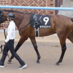 【競馬予想】[1]第60回 函館記念(GⅢ) /2024