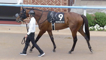 【競馬予想】[1]第60回 函館記念(GⅢ) /2024