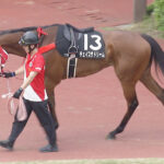 【競馬予想】[2]第24回アイビスサマーダッシュ(GⅢ) /2024