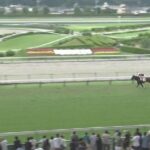【競馬】福島5R新馬戦 ピコチャンブラックが逃げて直線突き放し7馬身差の大楽勝