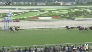 【競馬】福島5Ｒ新馬戦　ピコチャンブラックが逃げて直線突き放し7馬身差の大楽勝
