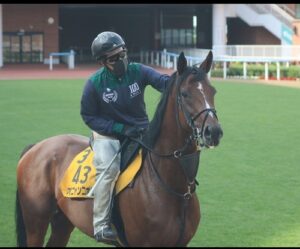 オニャンコポンさん、まるで別馬のような立派な馬体に