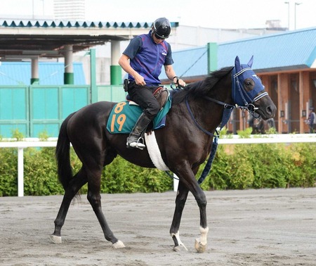 【2歳新馬】良血リアンベーレ超抜時計　札幌芝 良61.7-47.2-33.7-11.4