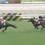 【競馬】七夕賞は戸崎騎乗のレッドラディエンスがV