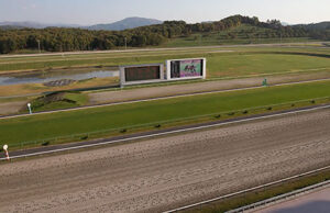 【悲報】盛岡の芝コース終わる　重賞3つダート変更へ