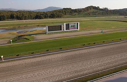 【悲報】盛岡の芝コース終わる　重賞3つダート変更へ