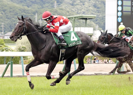 【七夕賞】レッドラディエンス直線で抜け出し快勝！重賞初挑戦制覇