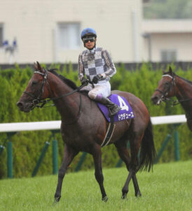 有識者「宝塚での武豊の騎乗をスポーツ紙は批判しない。相手がレジェンドでもひるむな」