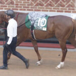 【競馬予想】[1]第24回アイビスサマーダッシュ(GⅢ) /2024