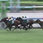 【競馬】中京記念は横山典騎乗のアルナシームがV