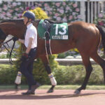 【競馬予想】[1]第60回七夕賞(GⅢ) /2024