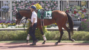 【競馬予想】[1]第60回七夕賞(GⅢ) /2024