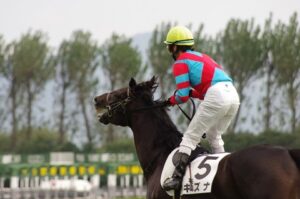 逆にキズナってなんでG1を1勝しかできなかったの？