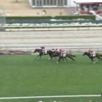 【競馬】札幌5R新馬戦 ドゥラメンテ産駒キングスコールがV ソダシのレコードを更新