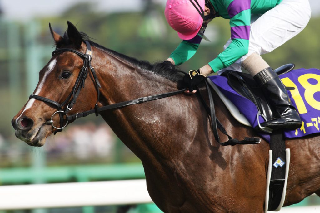 【競馬】ディーマジェスティってもう終わった馬なの？