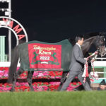 タイトルホルダー種付け料350万円、初年度から150頭以上の牝馬を集める