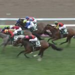 【クイーンステークス2024】結果・動画/コガネノソラが差し切る