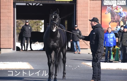 コントレイル産駒が成功する可能性