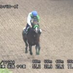 【中京記念2024】追い切り/抜群の動きを見せたのは