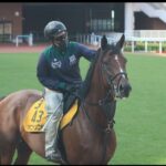 オニャンコポンさん、まるで別馬のような立派な馬体に