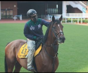 オニャンコポンさん、まるで別馬のような立派な馬体に