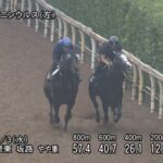 【プロキオンステークス2024】追い切り/動きを見極め勝利に近づけ