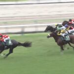 【七夕賞2024】結果・動画/レッドラディエンスが差し切りV