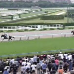 新馬戦がピークだった馬