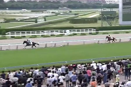 新馬戦がピークだった馬