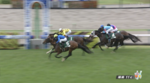 【ラジオNIKKEI賞】オフトレイル強すぎワロタｗｗｗ