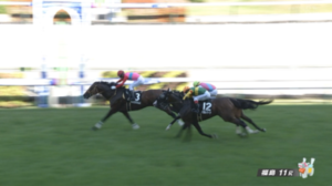 【バーデンバーデンC】国分優作騎手専用機逃げ切り、穴の菊沢騎手て