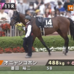 オニャンコポンさん、まるで別馬のような立派な馬体に