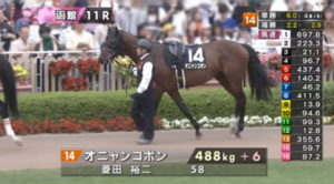 オニャンコポンさん、まるで別馬のような立派な馬体に